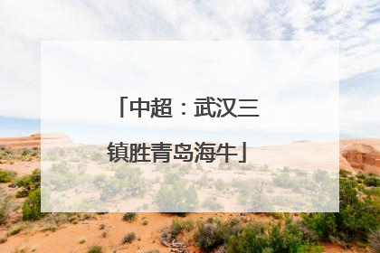 中超：武汉三镇胜青岛海牛