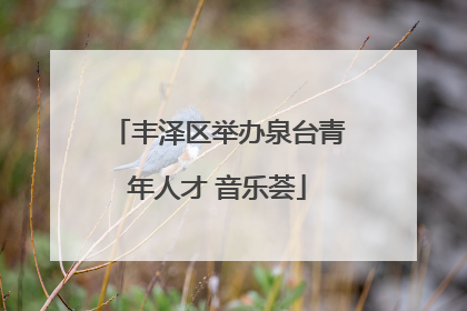 丰泽区举办泉台青年人才 音乐荟