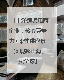丰泽跨境电商企业：核心竞争力+柔性供应链 实现越山海、卖全球