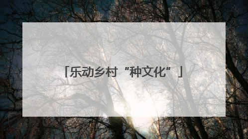 乐动乡村“种文化”