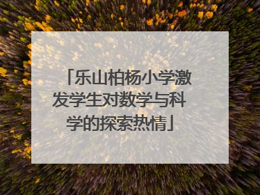 乐山柏杨小学激发学生对数学与科学的探索热情