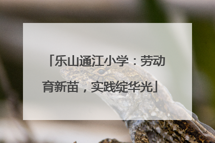 乐山通江小学：劳动育新苗，实践绽华光