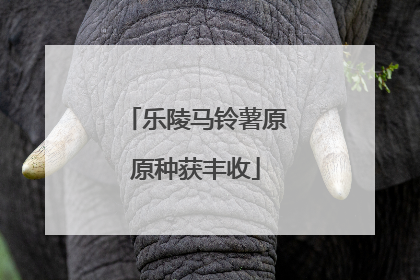 乐陵马铃薯原原种获丰收