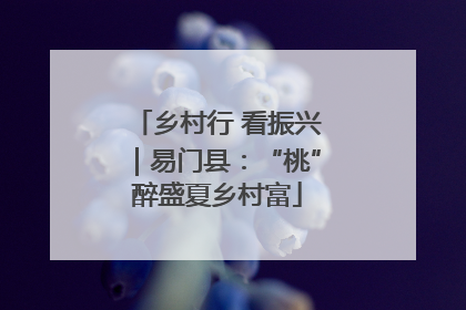 乡村行 看振兴｜易门县：“桃”醉盛夏乡村富