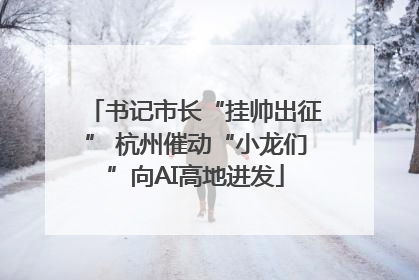 书记市长“挂帅出征” 杭州催动“小龙们”向AI高地进发