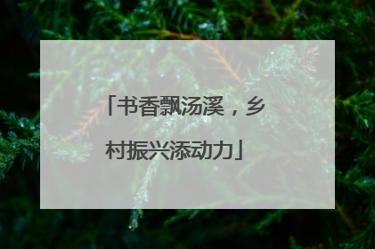 书香飘汤溪，乡村振兴添动力