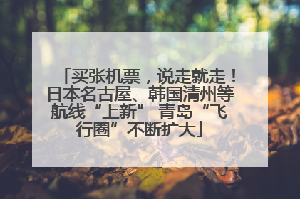 买张机票，说走就走！日本名古屋、韩国清州等航线“上新” 青岛“飞行圈”不断扩大