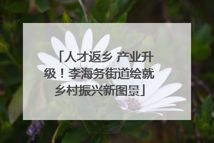 人才返乡 产业升级！李海务街道绘就乡村振兴新图景