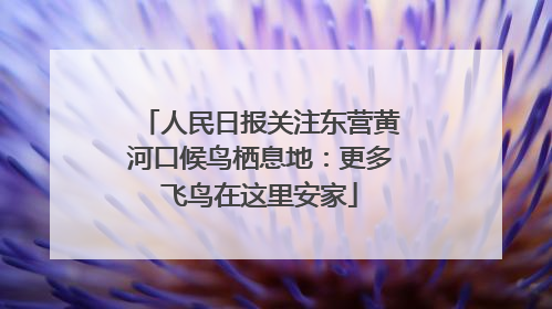 人民日报关注东营黄河口候鸟栖息地：更多飞鸟在这里安家