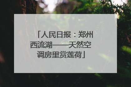 人民日报：郑州西流湖——天然空调房里赏莲荷