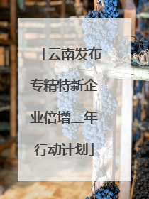 云南发布专精特新企业倍增三年行动计划