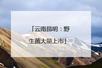 云南昆明：野生菌大量上市