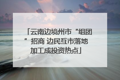 云南边境州市“组团”招商 边民互市落地加工成投资热点