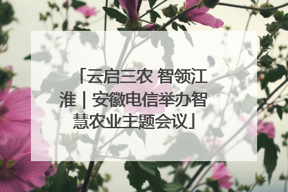 云启三农 智领江淮｜安徽电信举办智慧农业主题会议
