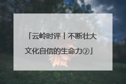 云岭时评丨不断壮大文化自信的生命力②