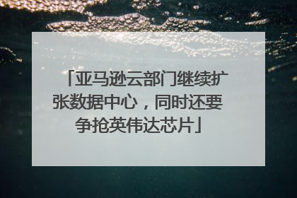 亚马逊云部门继续扩张数据中心，同时还要争抢英伟达芯片