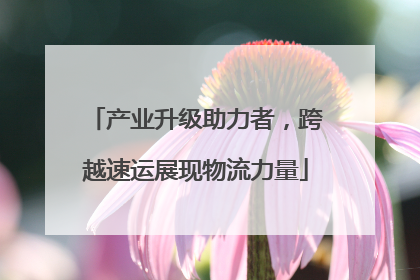 产业升级助力者，跨越速运展现物流力量
