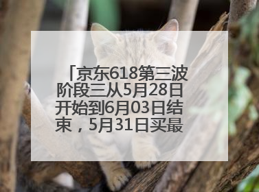 京东618第三波阶段三从5月28日开始到6月03日结束，5月31日买最便宜划算