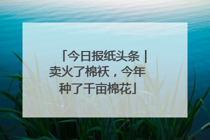 今日报纸头条｜卖火了棉袄，今年种了千亩棉花