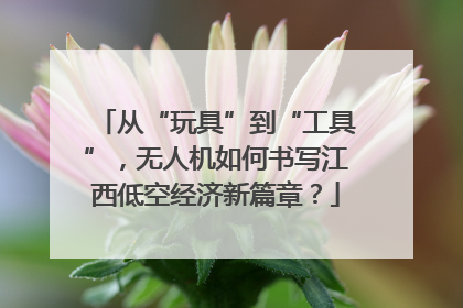 从“玩具”到“工具”，无人机如何书写江西低空经济新篇章？