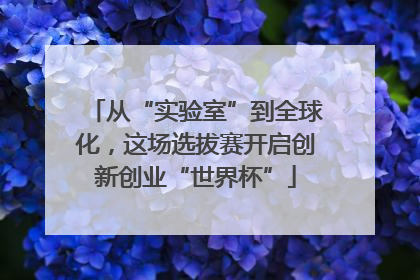 从“实验室”到全球化，这场选拔赛开启创新创业“世界杯”