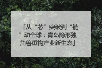 从“芯”突破到“链”动全球：青岛隐形独角兽重构产业新生态