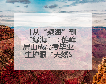 从“题海”到“绿海”：鹤峰屏山成高考毕业生护眼“天然SPA”