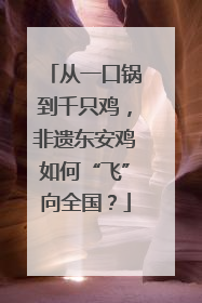 从一口锅到千只鸡，非遗东安鸡如何“飞”向全国？