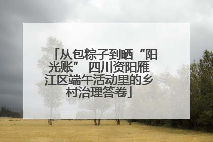从包粽子到晒“阳光账” 四川资阳雁江区端午活动里的乡村治理答卷