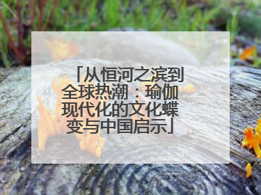从恒河之滨到全球热潮：瑜伽现代化的文化蝶变与中国启示