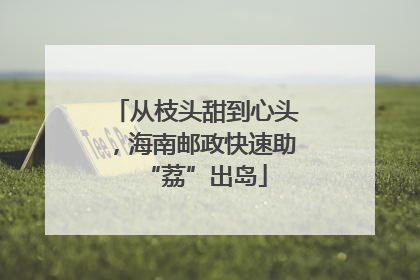 从枝头甜到心头，海南邮政快速助“荔”出岛
