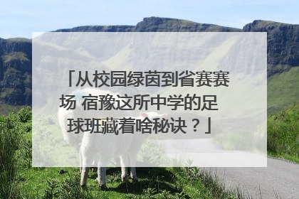 从校园绿茵到省赛赛场 宿豫这所中学的足球班藏着啥秘诀？