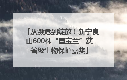 从濒危到绽放！新宁崀山600株“国宝兰”获省级生物保护嘉奖