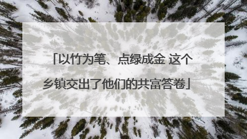以竹为笔、点绿成金 这个乡镇交出了他们的共富答卷