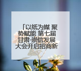 以纸为媒 聚势赋能 第七届甘肃·崇信发展大会开启招商新征程