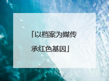 以档案为媒传承红色基因