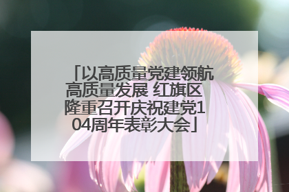 以高质量党建领航高质量发展 红旗区隆重召开庆祝建党104周年表彰大会