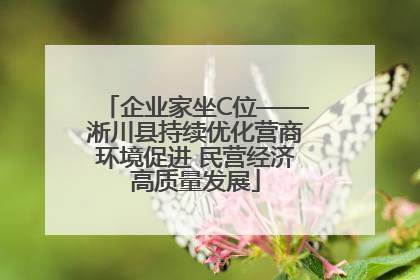 企业家坐C位——淅川县持续优化营商环境促进 民营经济高质量发展