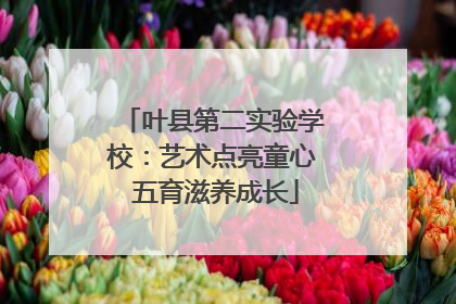 叶县第二实验学校：艺术点亮童心 五育滋养成长