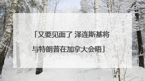 又要见面了 泽连斯基将与特朗普在加拿大会晤