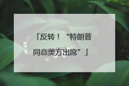 反转！“特朗普同意美方出席”