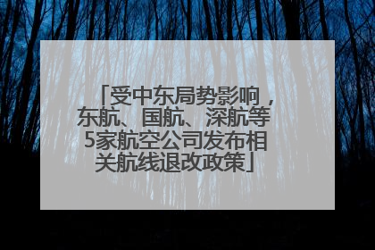 受中东局势影响，东航、国航、深航等5家航空公司发布相关航线退改政策