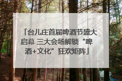 台儿庄首届啤酒节盛大启幕 三大会场解锁“啤酒+文化”狂欢矩阵