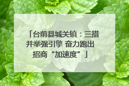 台前县城关镇：三措并举强引擎 奋力跑出招商“加速度”