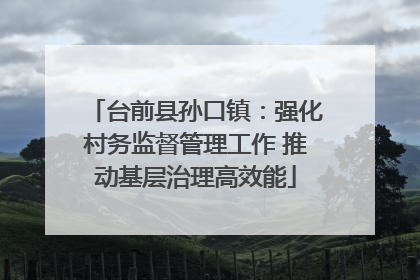 台前县孙口镇：强化村务监督管理工作 推动基层治理高效能