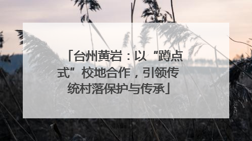 台州黄岩：以“蹲点式”校地合作，引领传统村落保护与传承