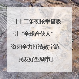 十二条硬核举措吸引“全球合伙人” 资阳全力打造数字游民友好型城市