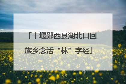 十堰郧西县湖北口回族乡念活“林”字经
