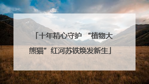 十年精心守护 “植物大熊猫”红河苏铁焕发新生
