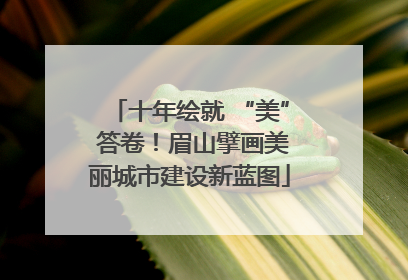 十年绘就 “美” 答卷！眉山擘画美丽城市建设新蓝图